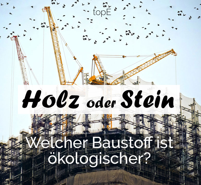 haus aus holz oder stein?