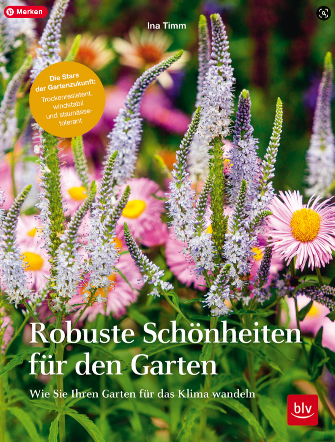 buchtipps