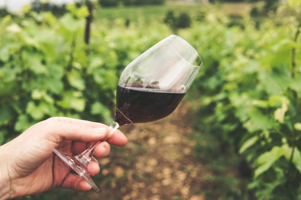 Wein richtig lagern