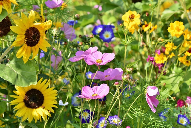 Pflanzenauswahl im neuen Garten