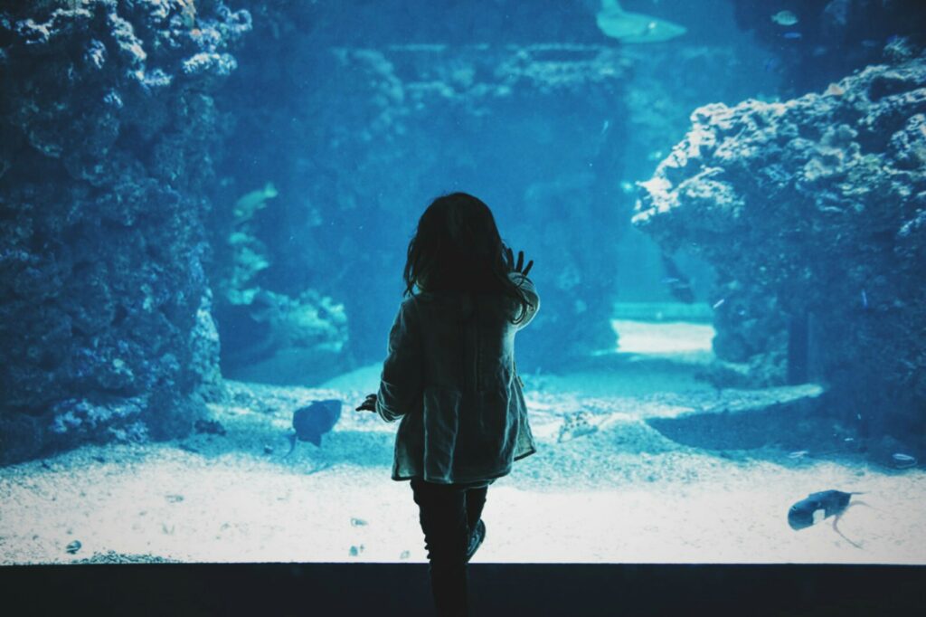 Aquarium Kind
