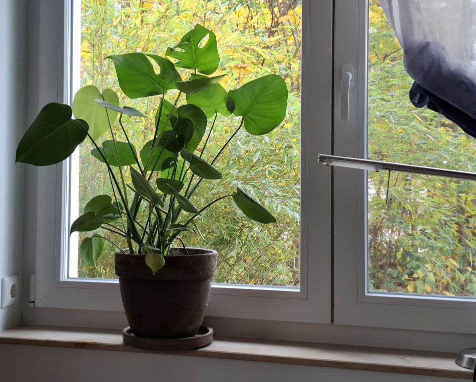 hochwertige Kunstpflanzen