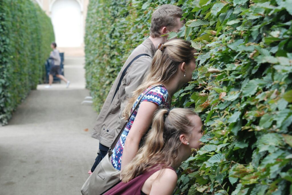 Heckenpflanzen für Familiengarten